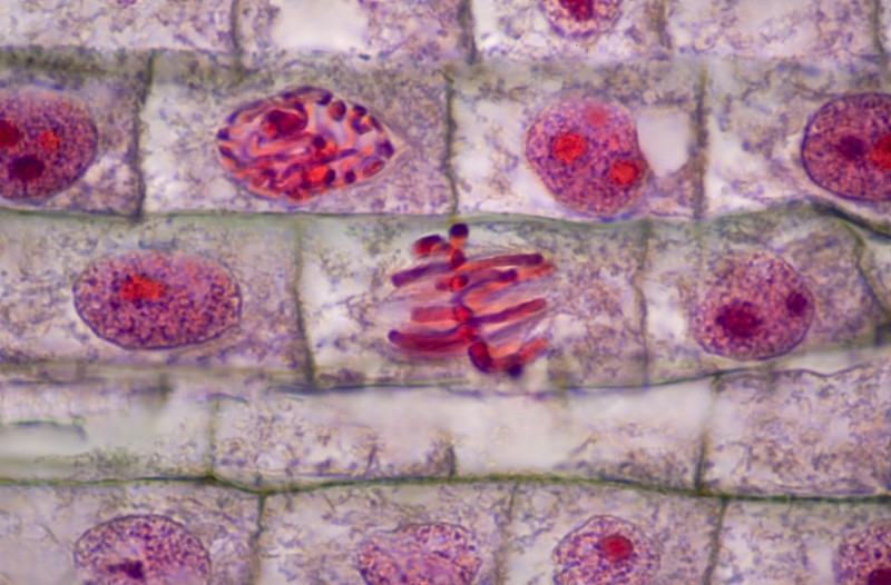 1693401218104059.jpg VCG41139812857.jpg